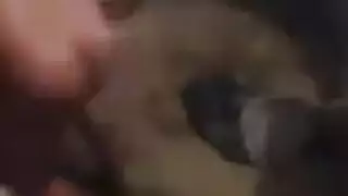 نيك ريمة الخاص يصبح علنياً في شريط جنسي مسرب