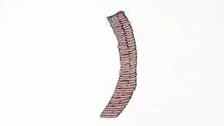 سحر الناضجة مثليه