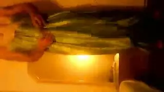 سكس خارجي: مصري يضرب زميلته المحجبة بعنف