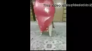 بورنو سوداني هاوي: زوجان حقيقيان، أنات حقيقية