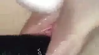 بوصة الديك منفرد وشم