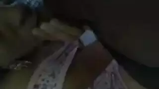 مجس نبات هواة عرقي الجنس أصلع