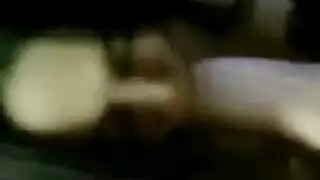 زوجة عرقي الجنس أسد امريكي الأفريقي
