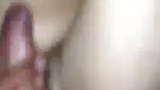 نجمات البورن المشعرات ينكتهن بقضيب سميك ضخم