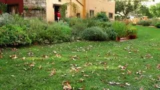 فيديو مجاني نيك