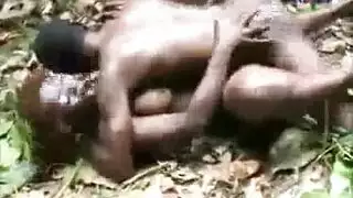 في الغابة ترجمة