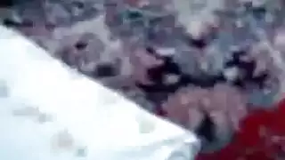 خيانة خليجي عراقي زوجة عاهرة تتناك من عشيقها في وضح النهار فيديو إباحي مجاني