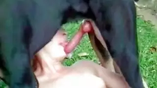 افلام نيك حيوانات روسيا محرومة تتناك من الكلب سكسي كلاب