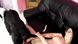 إباحية حيوانية صريحة: كلب يركب فتاة تصرخ