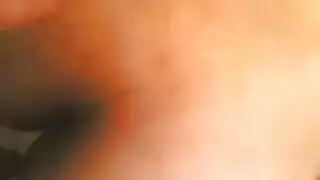 بورن عربي: دجاجة مصرية أكشن هاردكور