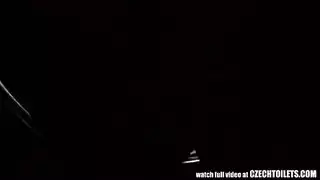 فرس ابيض